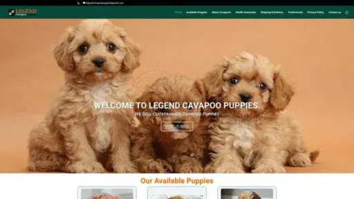 Screenshot of