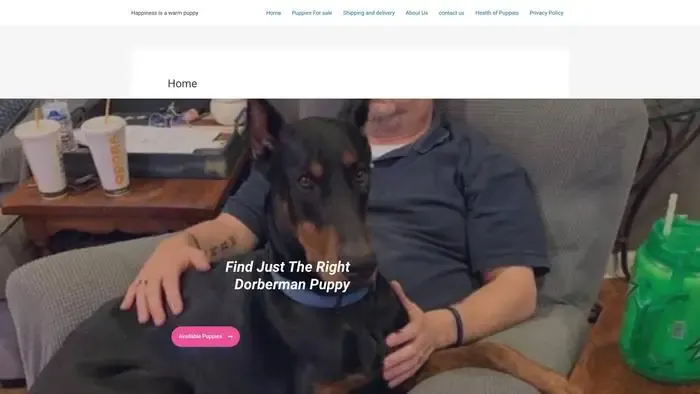 Screenshot of