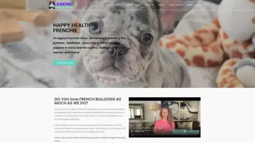 Screenshot of