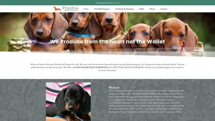 Screenshot of