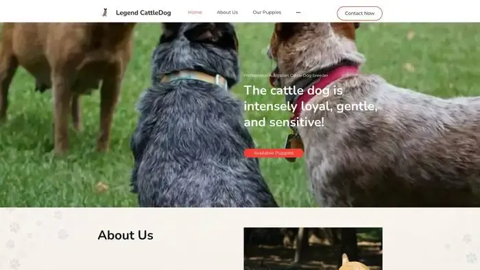 Screenshot of