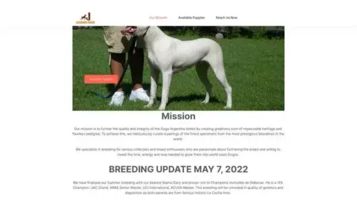 Screenshot of