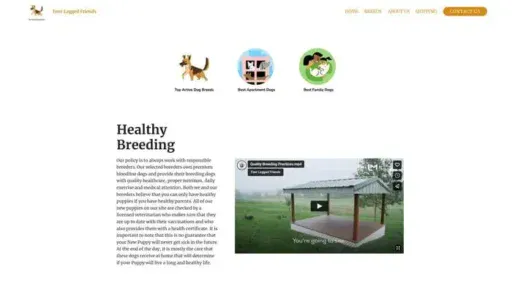 Screenshot of