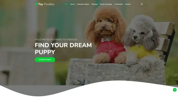 Screenshot of