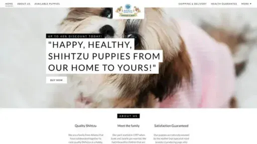 Screenshot of
