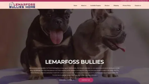 Screenshot of