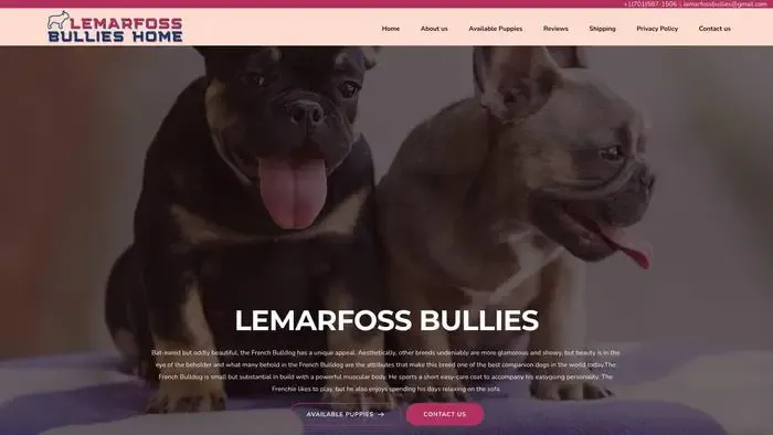 Screenshot of