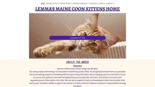 Screenshot of