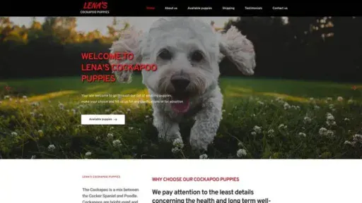 Screenshot of
