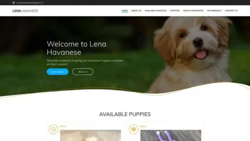 Screenshot of