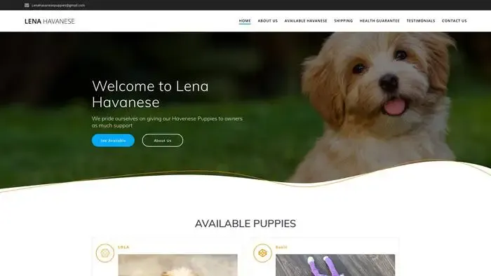 Screenshot of