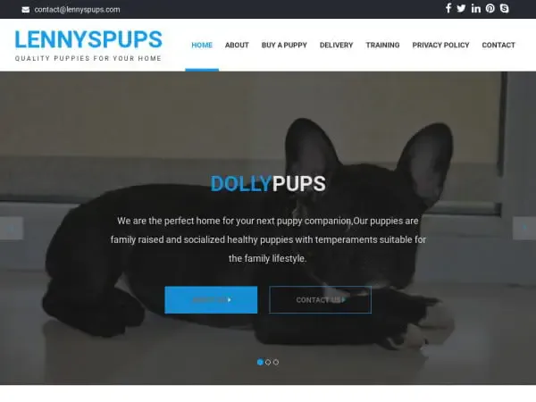 Screenshot of