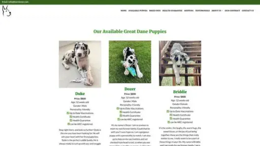 Screenshot of