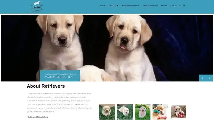 Screenshot of