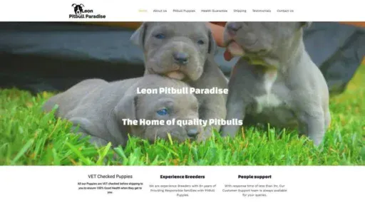 Screenshot of