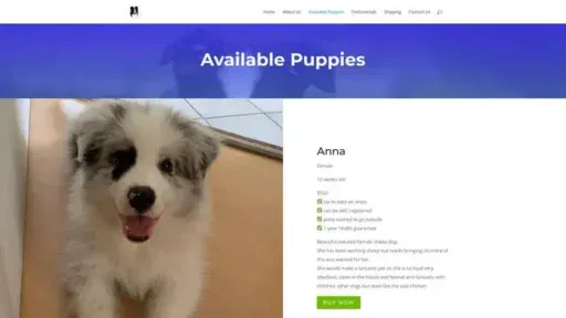 Screenshot of