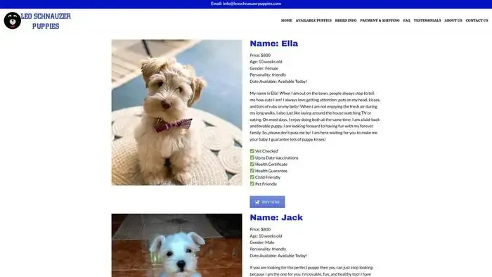 Screenshot of