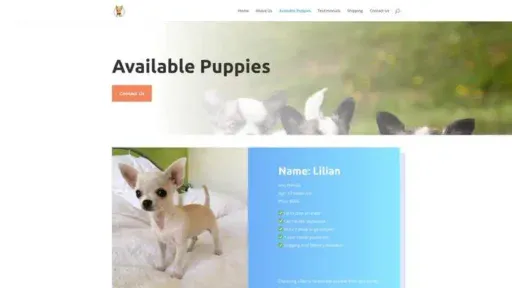 Screenshot of