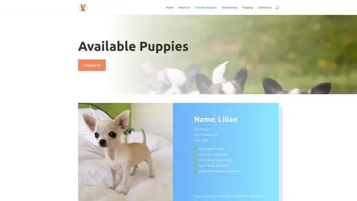 Screenshot of