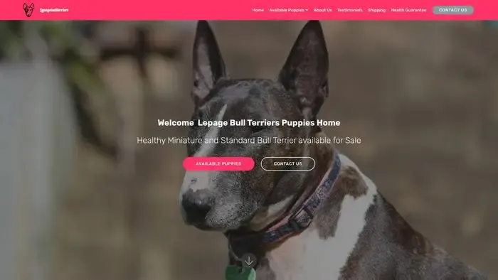 Screenshot of