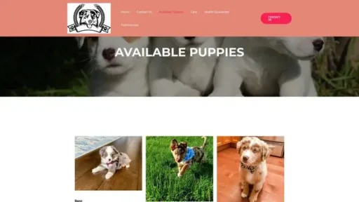 Screenshot of