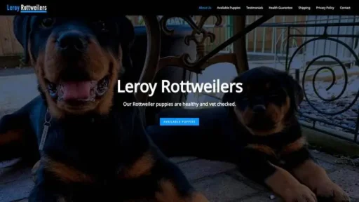Screenshot of