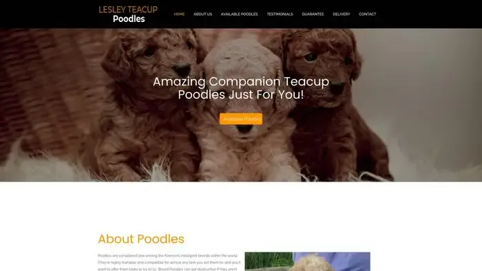 Screenshot of