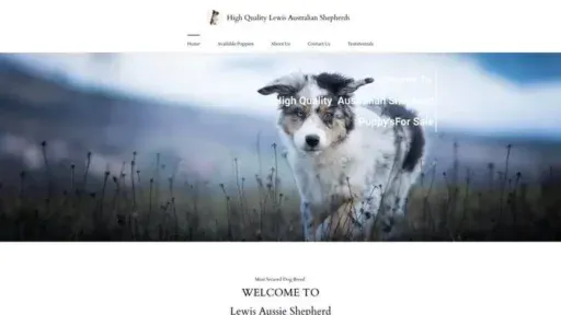 Screenshot of