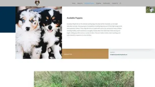 Screenshot of