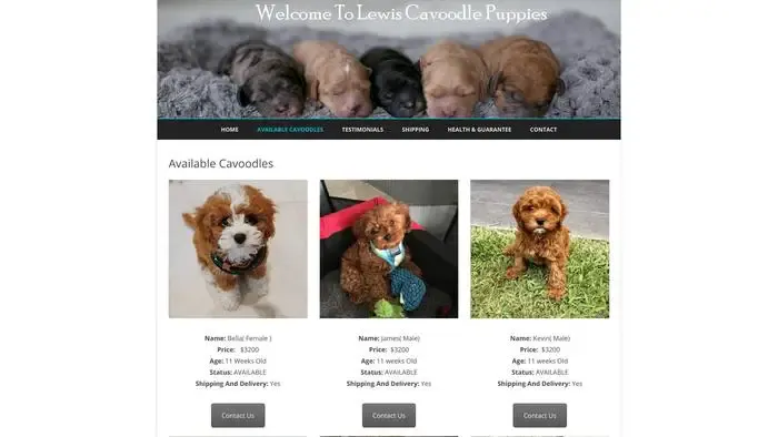 Screenshot of