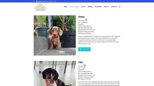 Screenshot of