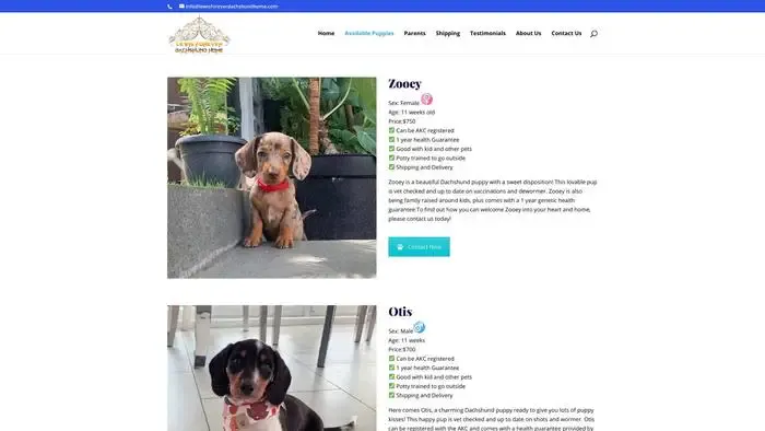 Screenshot of
