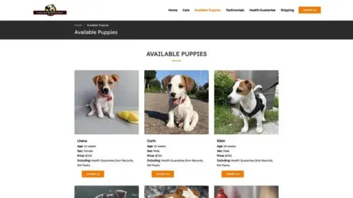 Screenshot of