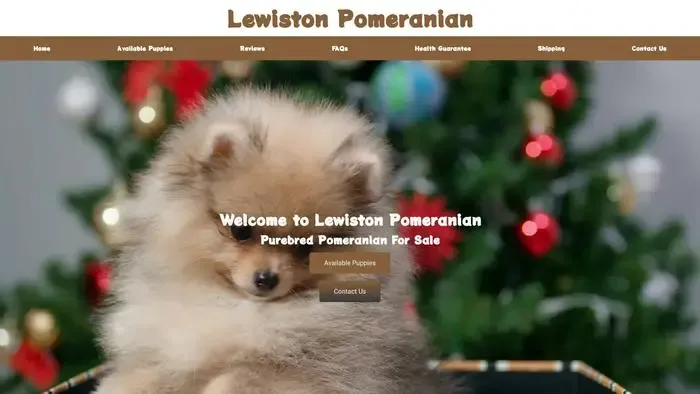 Screenshot of