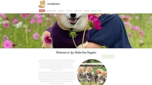 Screenshot of