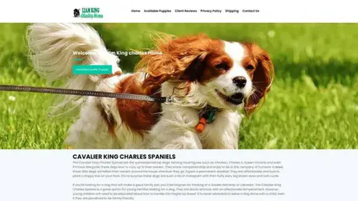 Screenshot of