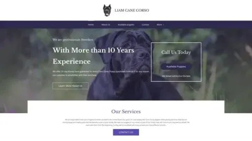 Screenshot of