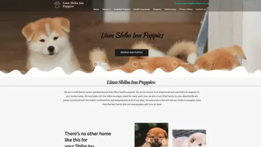 Screenshot of
