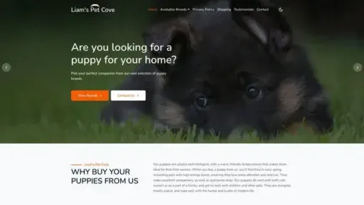 Screenshot of|