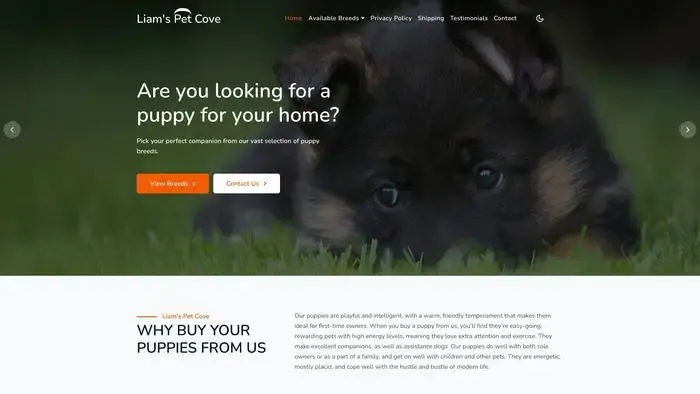 Screenshot of|