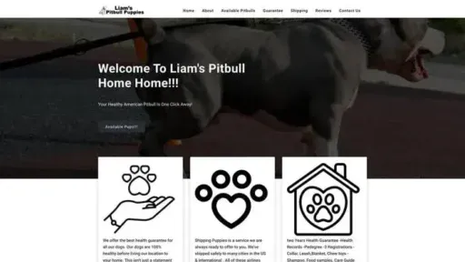 Screenshot of