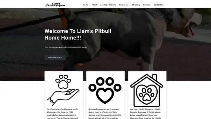 Screenshot of