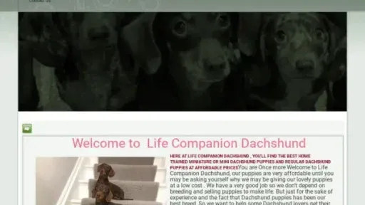 Screenshot of