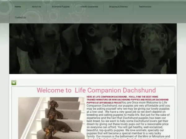 Screenshot of