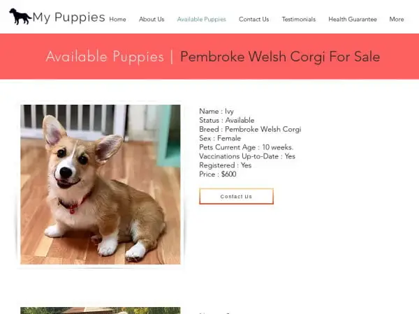 Screenshot of