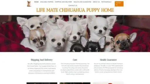 Screenshot of