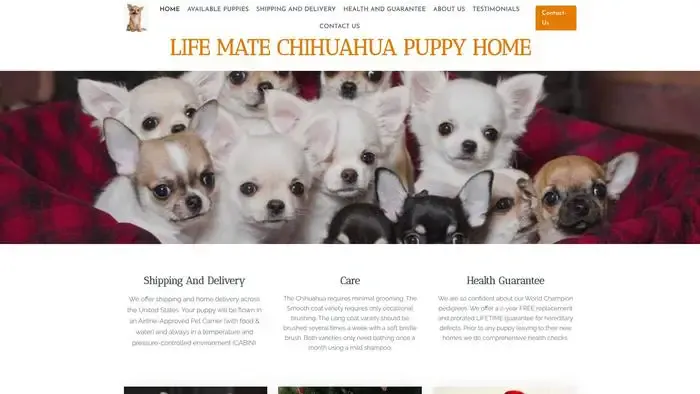 Screenshot of