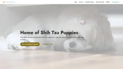 Screenshot of||