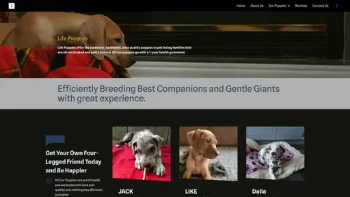 Screenshot of