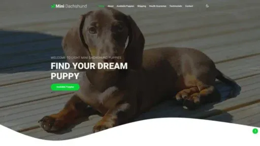 Screenshot of||